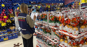 Pesquisa do Procon Goiás aponta variação de até 159% em preços de ovos de Páscoa